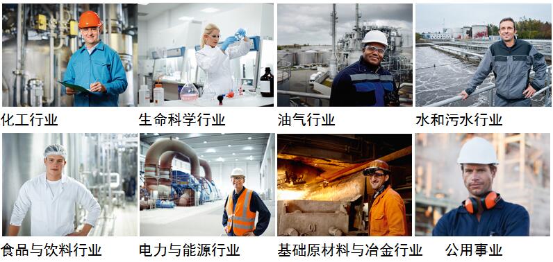 德国Endress+Hauser