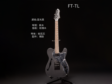 FT-TLH亚光黑