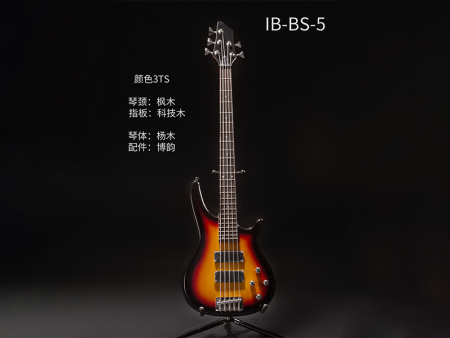 IB-BS-5