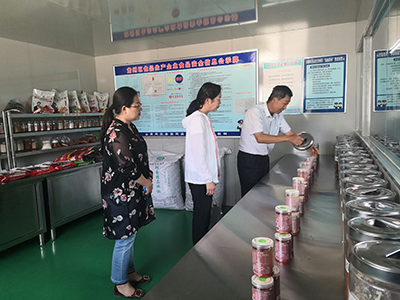 图片01