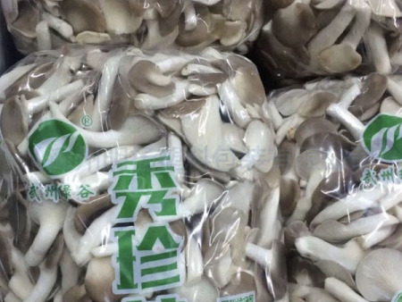 秀珍菇保鲜防雾袋（2）