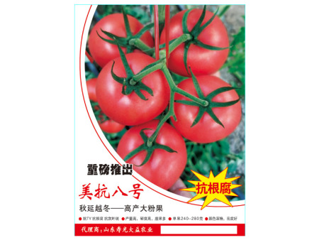 美抗八号