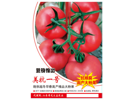 美抗一号