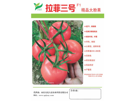 拉菲三号