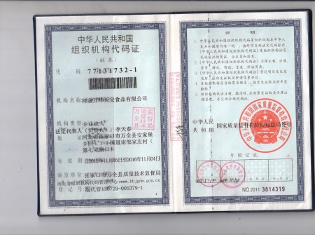 组织机构代码证副本