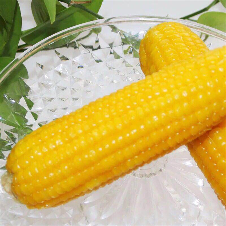 张家口玉米的功效与作用