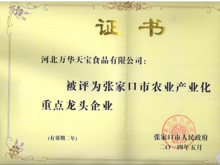 市龙头企业证书