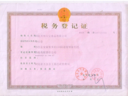 税务登记证正本