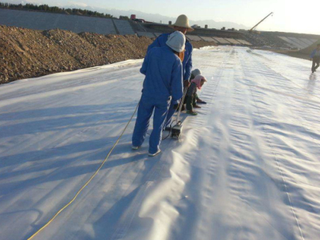 土工膜防水板