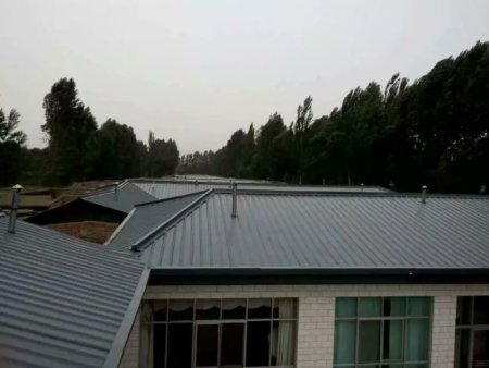 金川东村美丽乡村改造 (8)