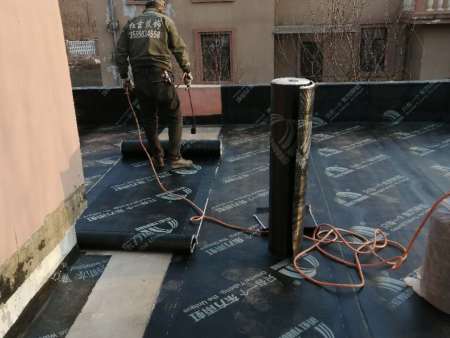 凤凰花园别墅防水工程