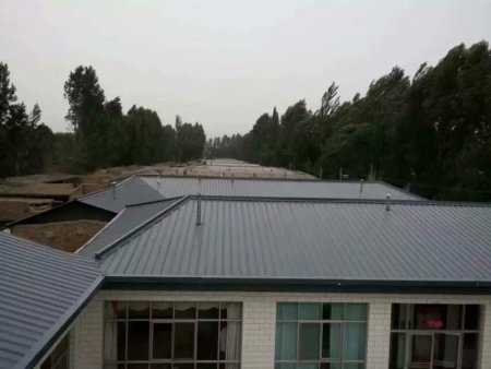 金川东村美丽乡村改造 (7)