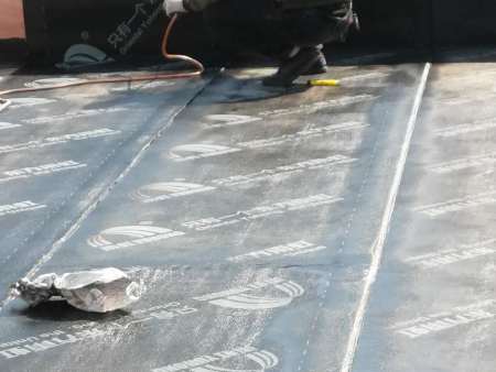 凤凰花园别墅防水工程