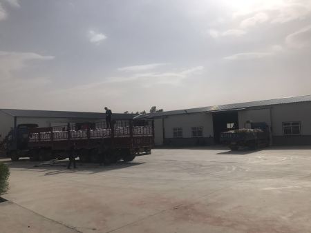 沈陽(yáng)抹灰石膏廠(chǎng)區展示