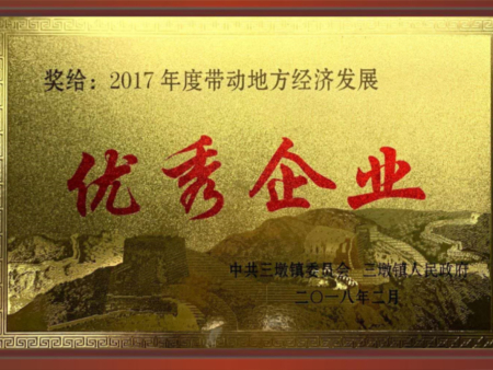2017年度带动地方经济发展优秀企业