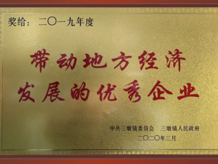 2019年度带动地方经济发展优秀企业