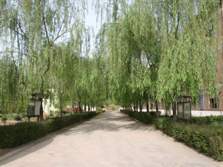 廠(chǎng)區一角(A corner of the factory) 廠(chǎng)區一角(A corner of the factory)