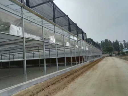pc阳光板温室