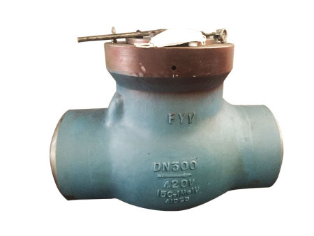 电站磅级止回阀01