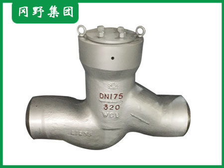 电站止回阀02