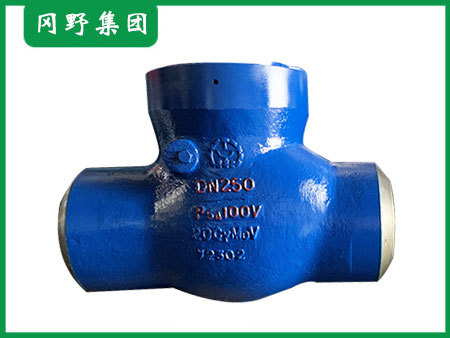 电站止回阀02-1