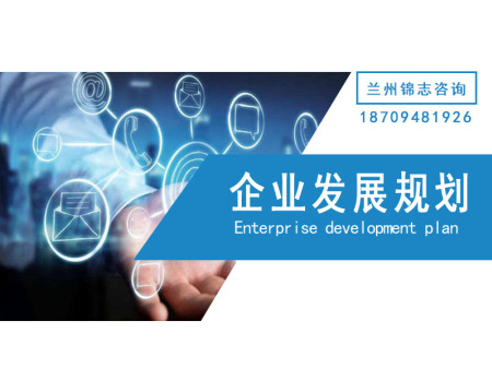 企业发展规划-甘肃企业发展规划报告
