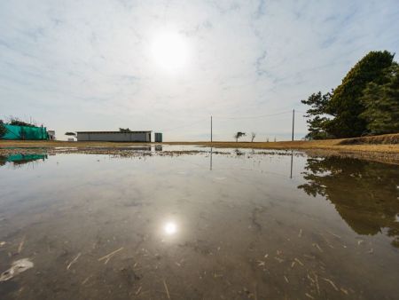 关于学习住房城乡建设部工程质量安全手册（试行）的通知