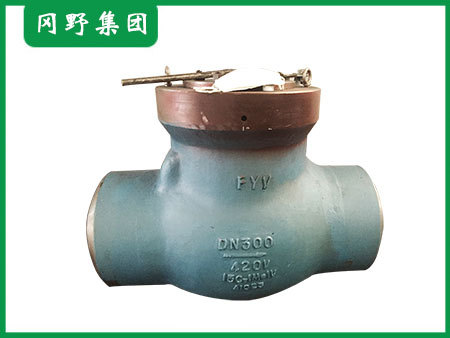 电站磅级止回阀01-1