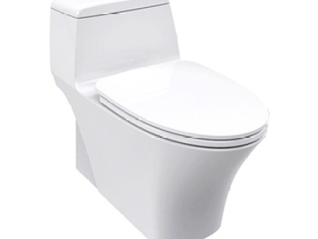 美标卫浴洁具-3 4.8升节水型连体座厕CCAS2009
