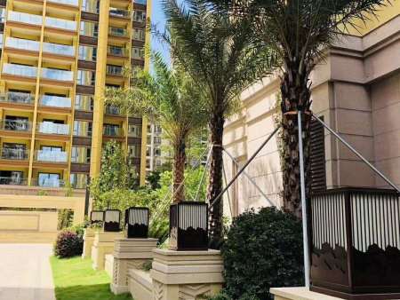 珠海平沙上院石岛红 