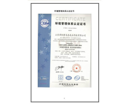 职业健康安全管理体系认证证书 职业健康安全管理体系认证证书