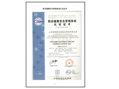 环境管理体系认证证书 环境管理体系认证证书