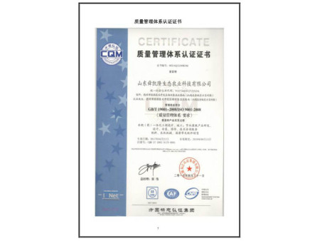 质量管理体系认证证书 质量管理体系认证证书