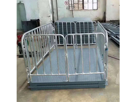 小平臺秤