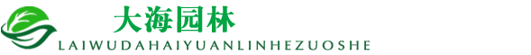 造型松|景觀松|造型油松-萊蕪大海園林合作社