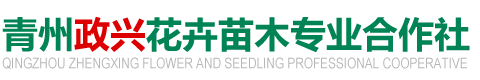 青州政兴花卉苗木专业合作社