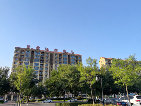 汤阴建业森林半岛