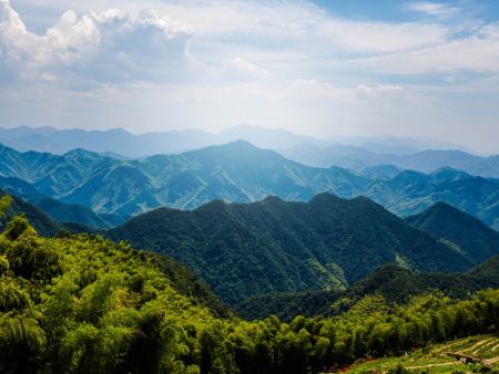石岛红的详细介绍
