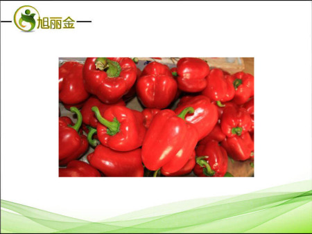 CH-19甜红辣椒提取物