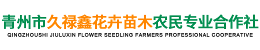 青州市久禄鑫花卉苗木农民专业合作社