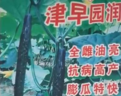 視頻展示