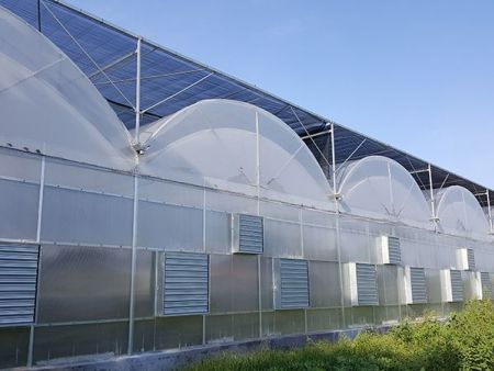 用于降低蔬菜大棚温度的遮阳网怎么使用？