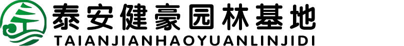 造型松求购信息网