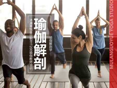 解剖学与生理学