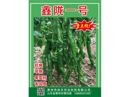 鑫陇一号