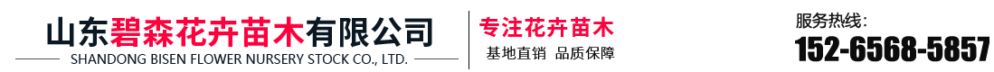 山东碧森花卉苗木有限公司
