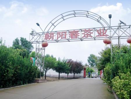 绿茶的储存方法