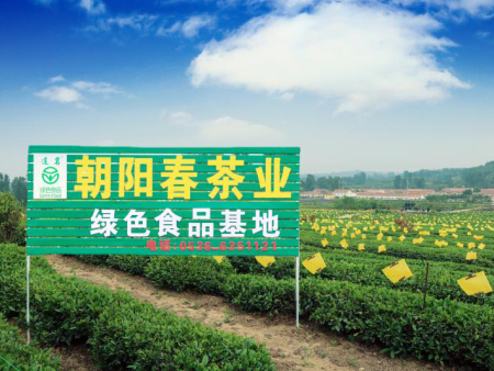 茶叶怎么种？茶树种植技术