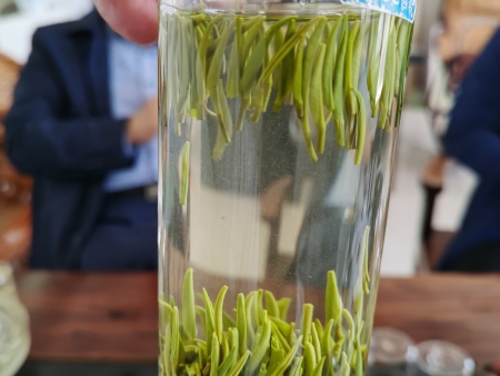 怎么泡绿茶？为什么我们泡的绿茶都是苦的？