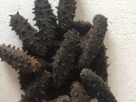 微信图片_202011071545479